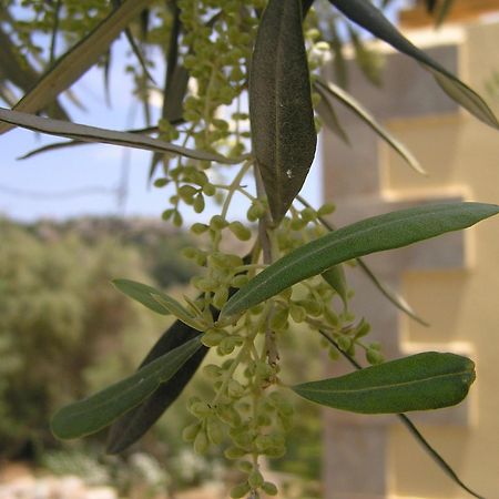 Kaloniktis Stratos Villas מראה חיצוני תמונה