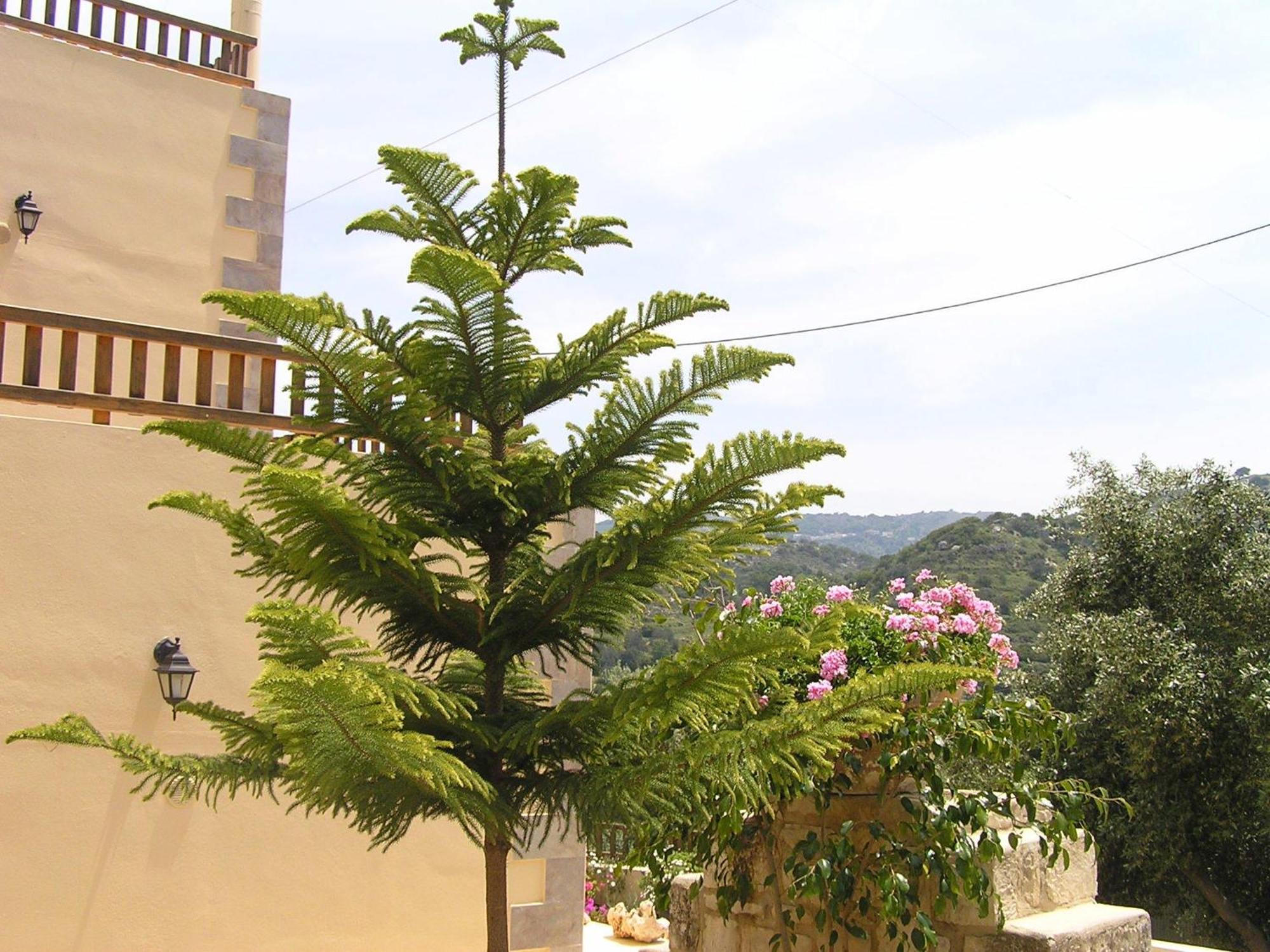 Kaloniktis Stratos Villas מראה חיצוני תמונה