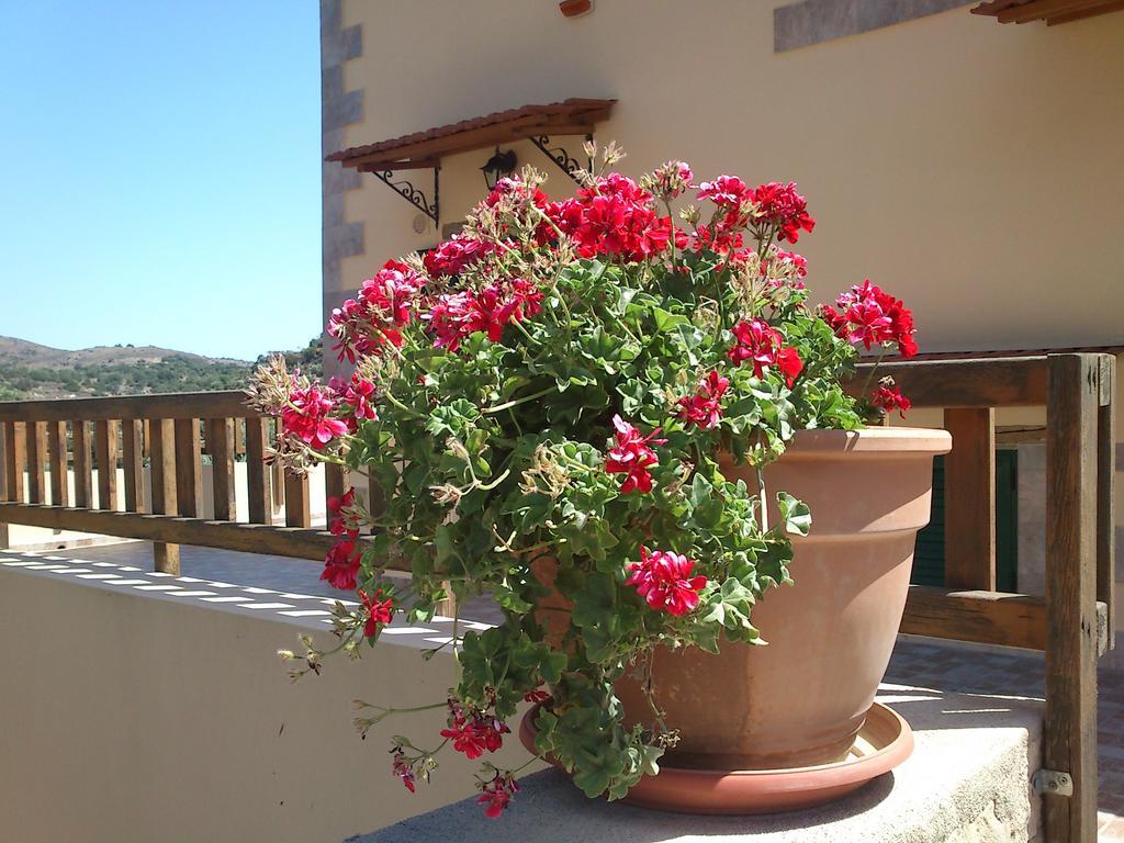 Kaloniktis Stratos Villas מראה חיצוני תמונה