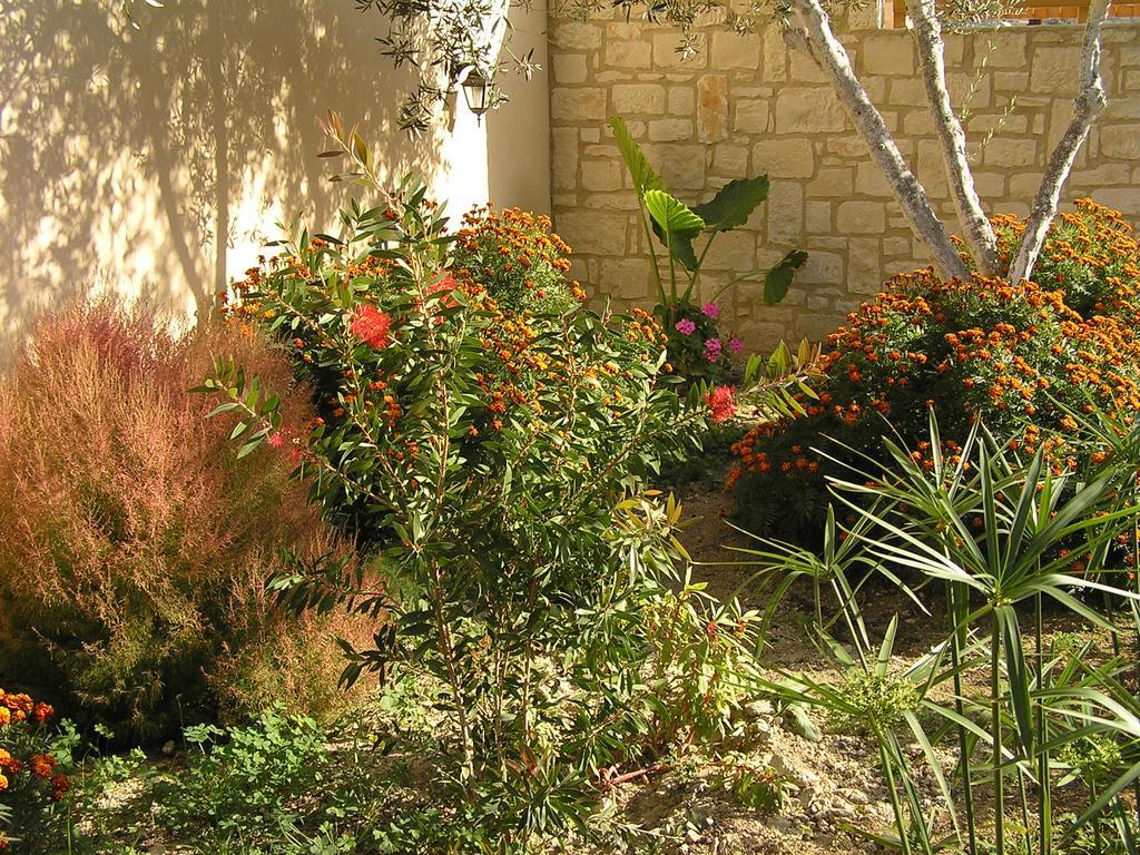 Kaloniktis Stratos Villas מראה חיצוני תמונה