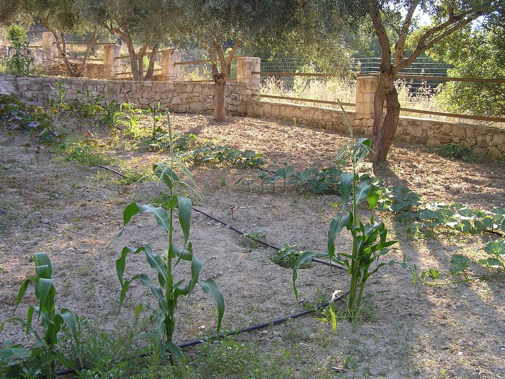 Kaloniktis Stratos Villas מראה חיצוני תמונה