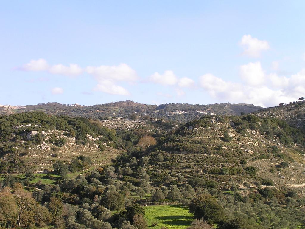 Kaloniktis Stratos Villas מראה חיצוני תמונה