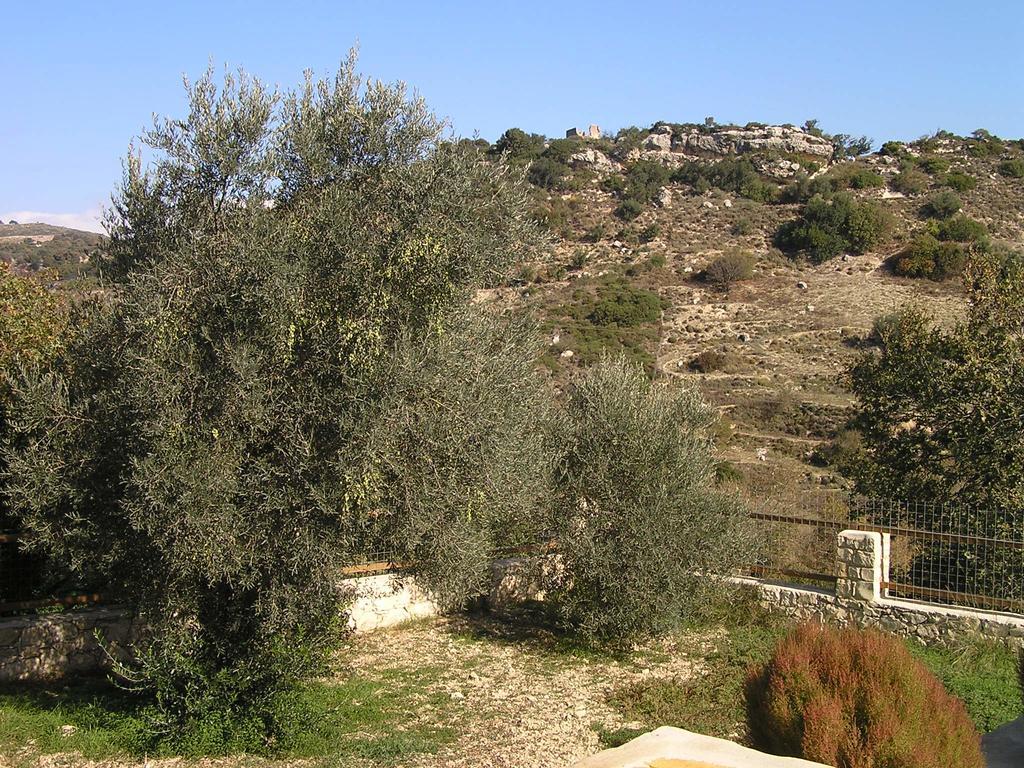 Kaloniktis Stratos Villas מראה חיצוני תמונה